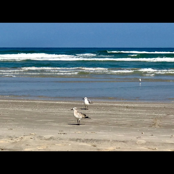 Important PLEASE READ!! 🤗🌺 - Picture 16 of 16